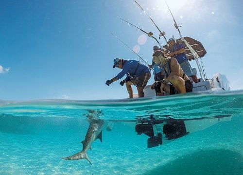 Saltwater Fishing Sri Lanka – Big Game Adventures