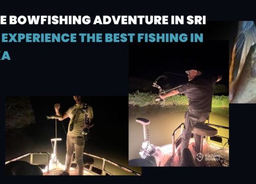 Ultimate Bowfishing Adventure in Sri Lanka – Experience the Best Fishing in Sri Lanka