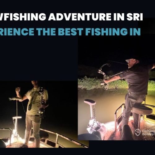 Ultimate Bowfishing Adventure in Sri Lanka – Experience the Best Fishing in Sri Lanka