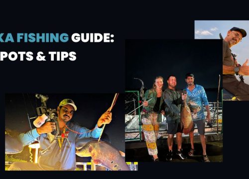 The Ultimate Guide to Fishing in Sri Lanka: Adventure, Top Spots & Sustainability