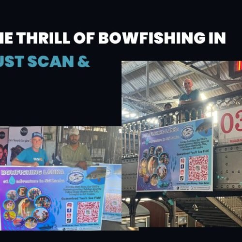 Experience the Thrill of Bowfishing in Sri Lanka – Just Scan & Book!