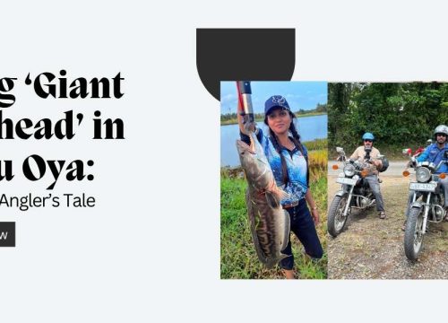 Fishing ‘Giant Snakehead’ in Deduru Oya: An Adventure Angler’s Tale